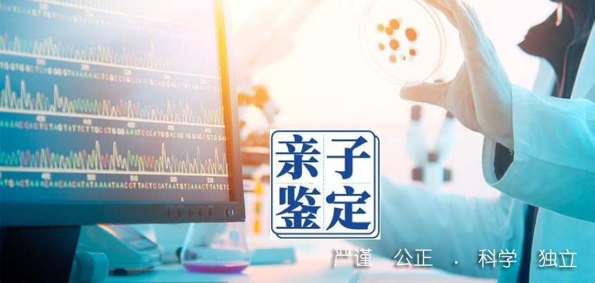 红河亲子鉴定咨询了解