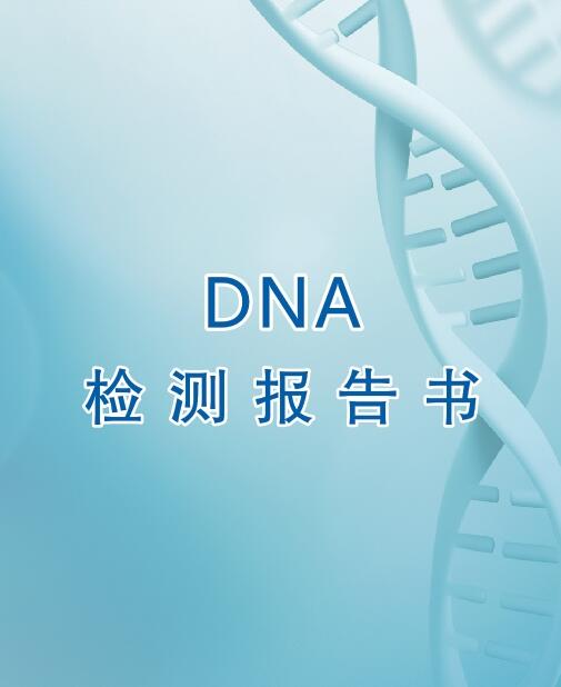 红河亲子鉴定流程之出具报告
